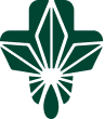 WeednessCBD - Logo